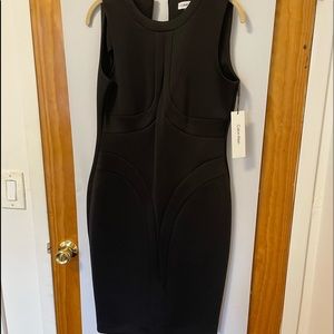 Calvin Klein work dress